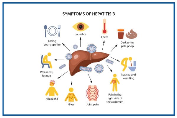 hepatitis b